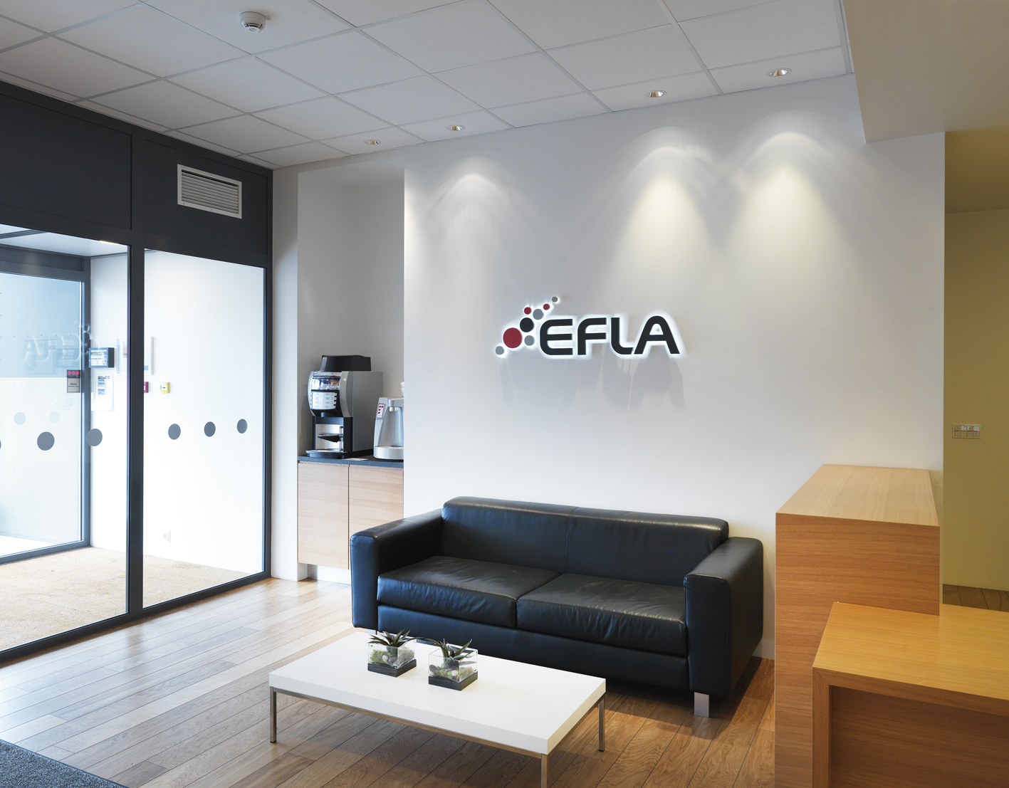 2010_efla, höfðabakka 9